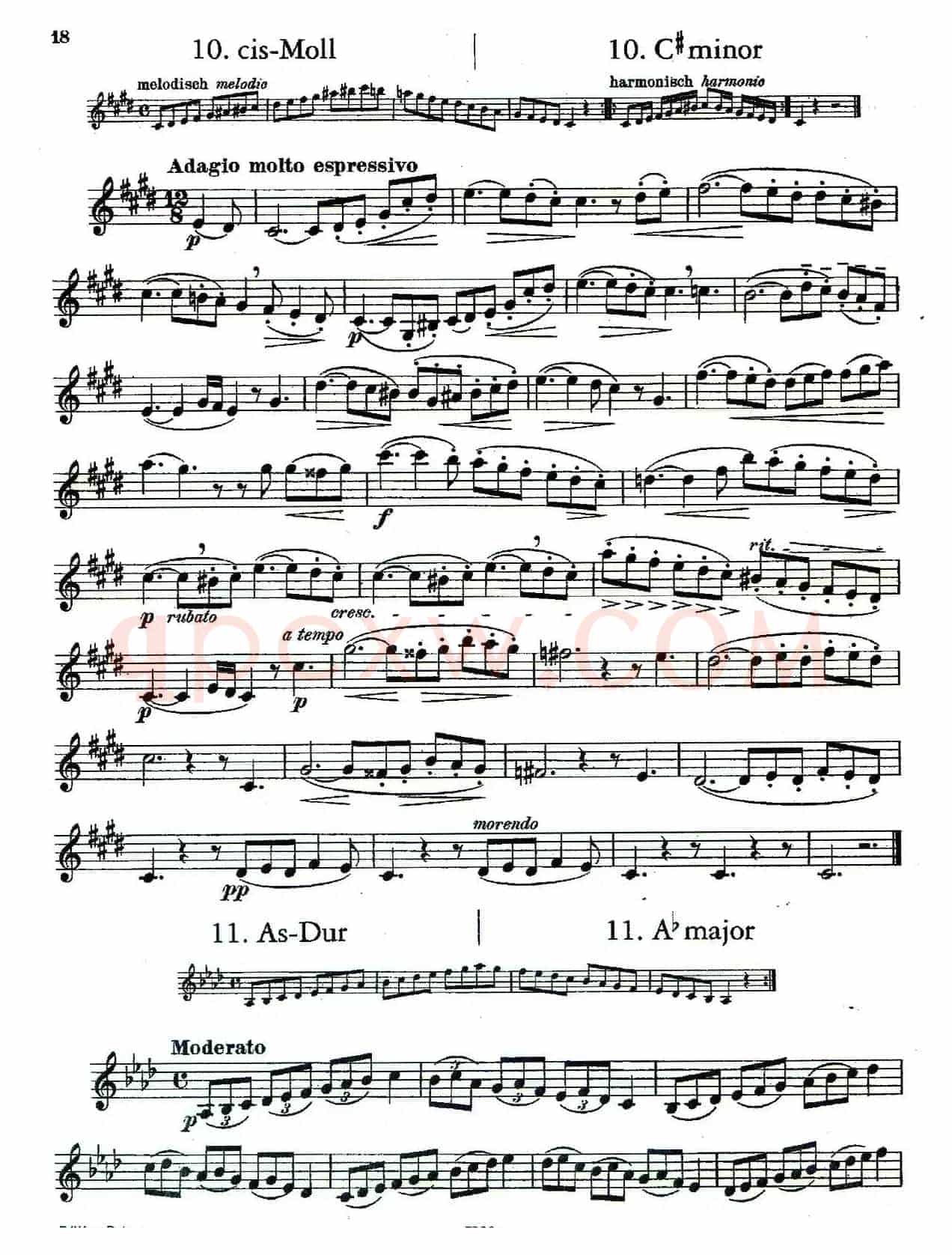 DEMNITZ（单簧管练习曲）