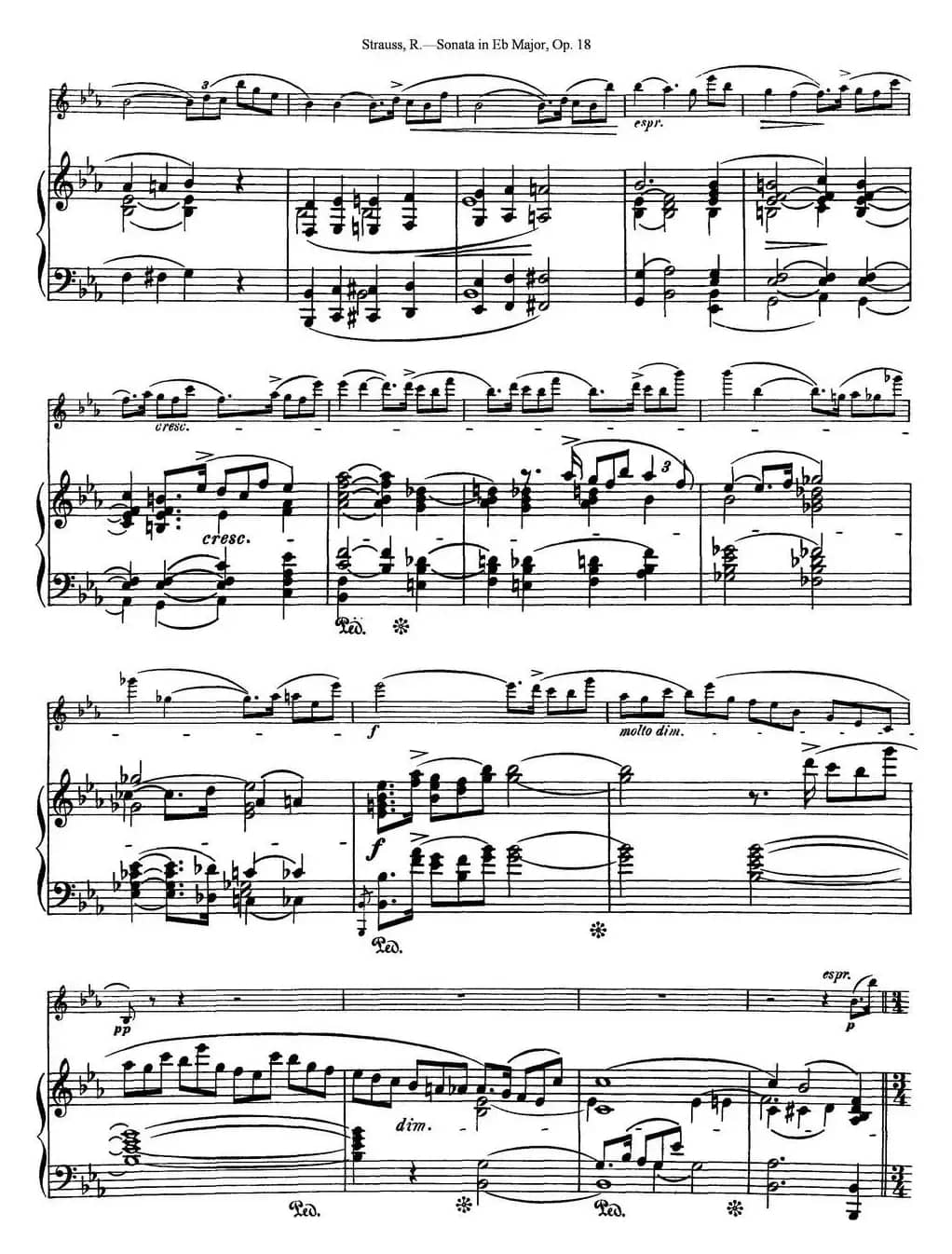 Violin Sonata in Eb Major Op.18（小提琴+钢琴伴奏）