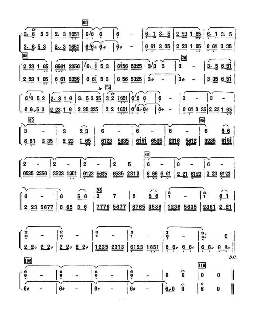 洗衣歌（琵琶分谱）