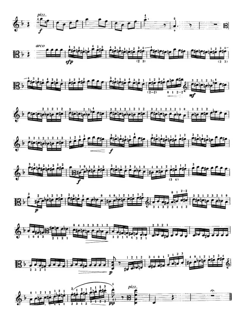 野蜂飞舞（中提琴）