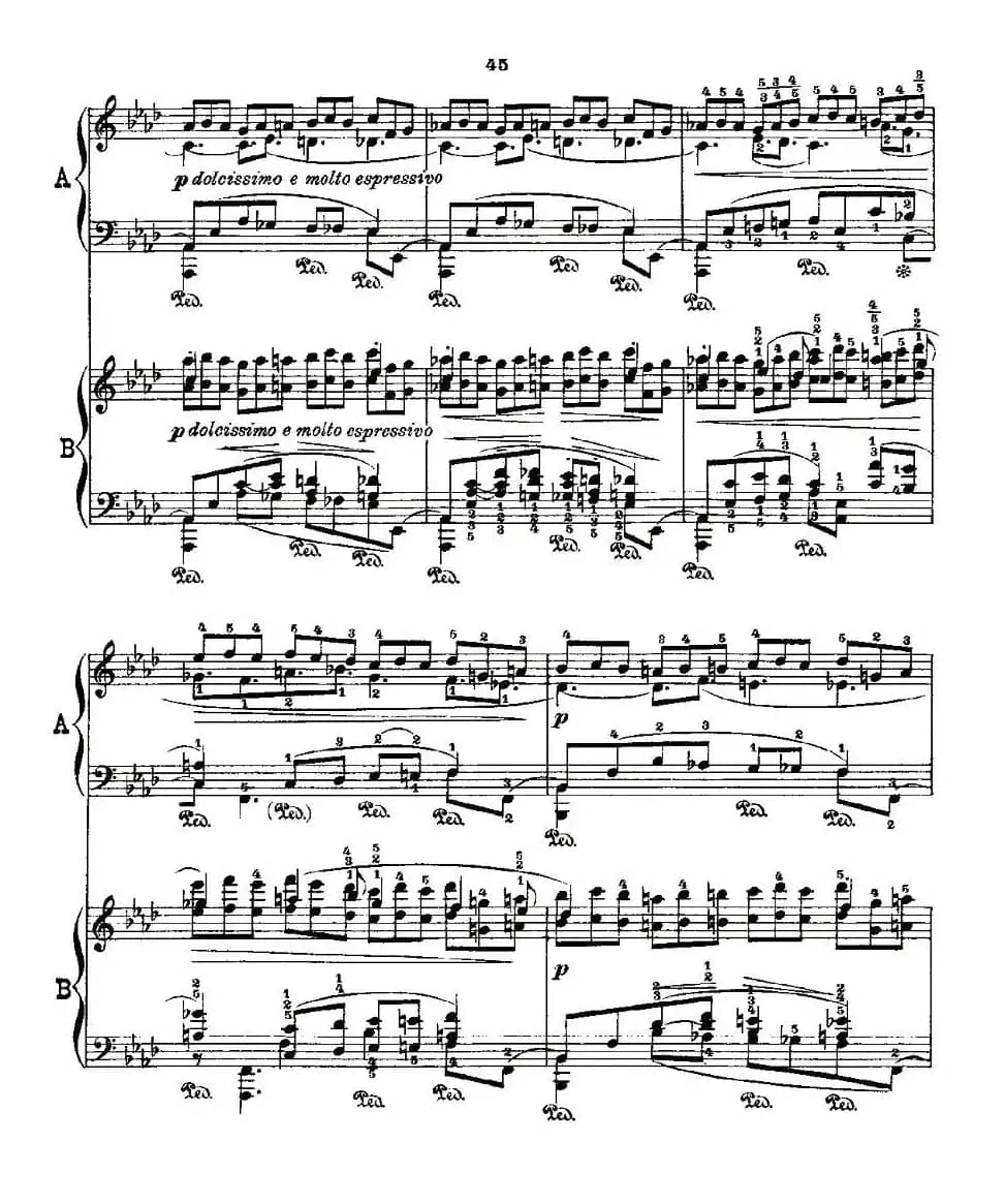 肖邦《练习曲》Fr.Chopin Op.25 No2-3