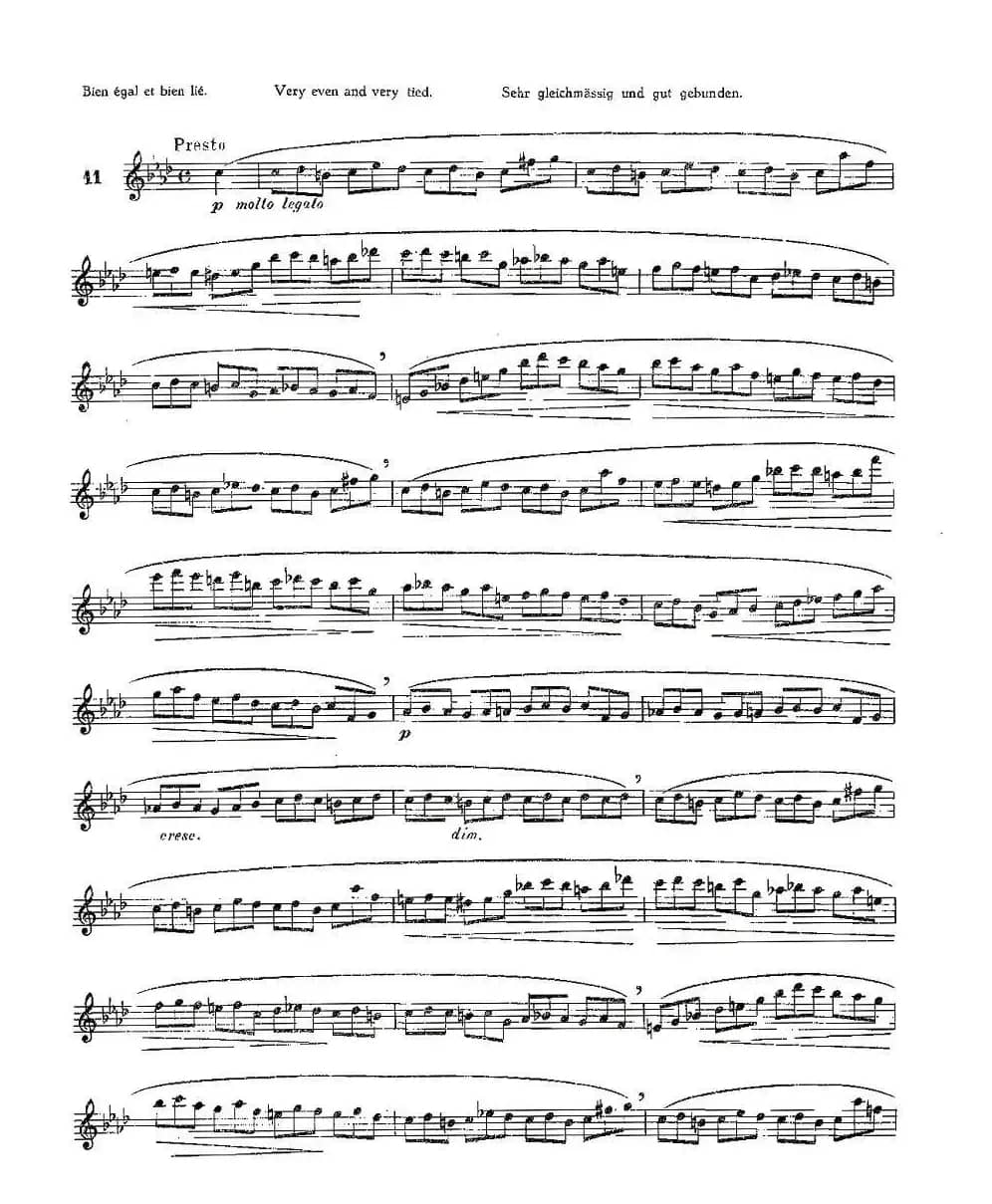 12首大技巧练习曲之11