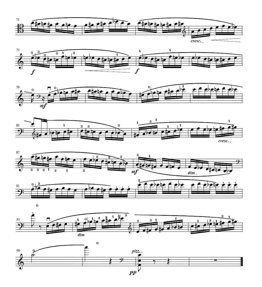 野蜂飞舞（大提琴独奏）