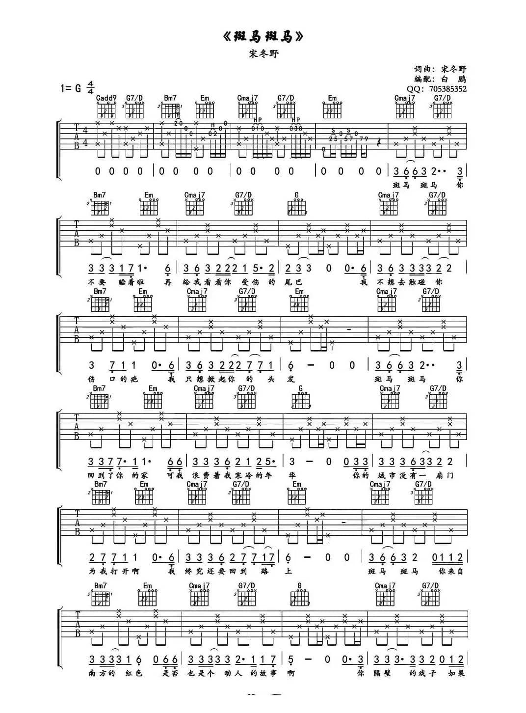 斑马斑马（白鹏编配版）