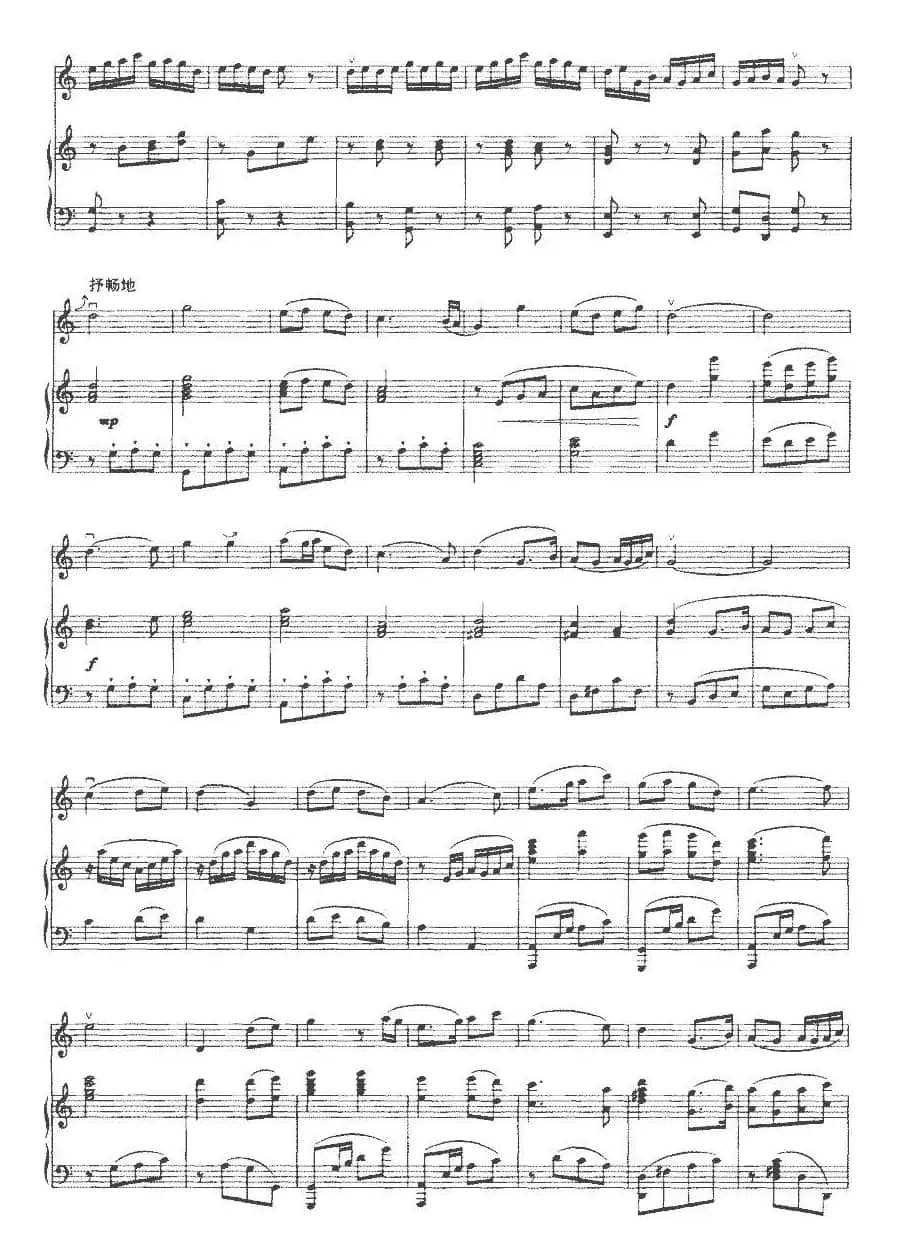 珠江情怀（二胡+钢琴伴奏）