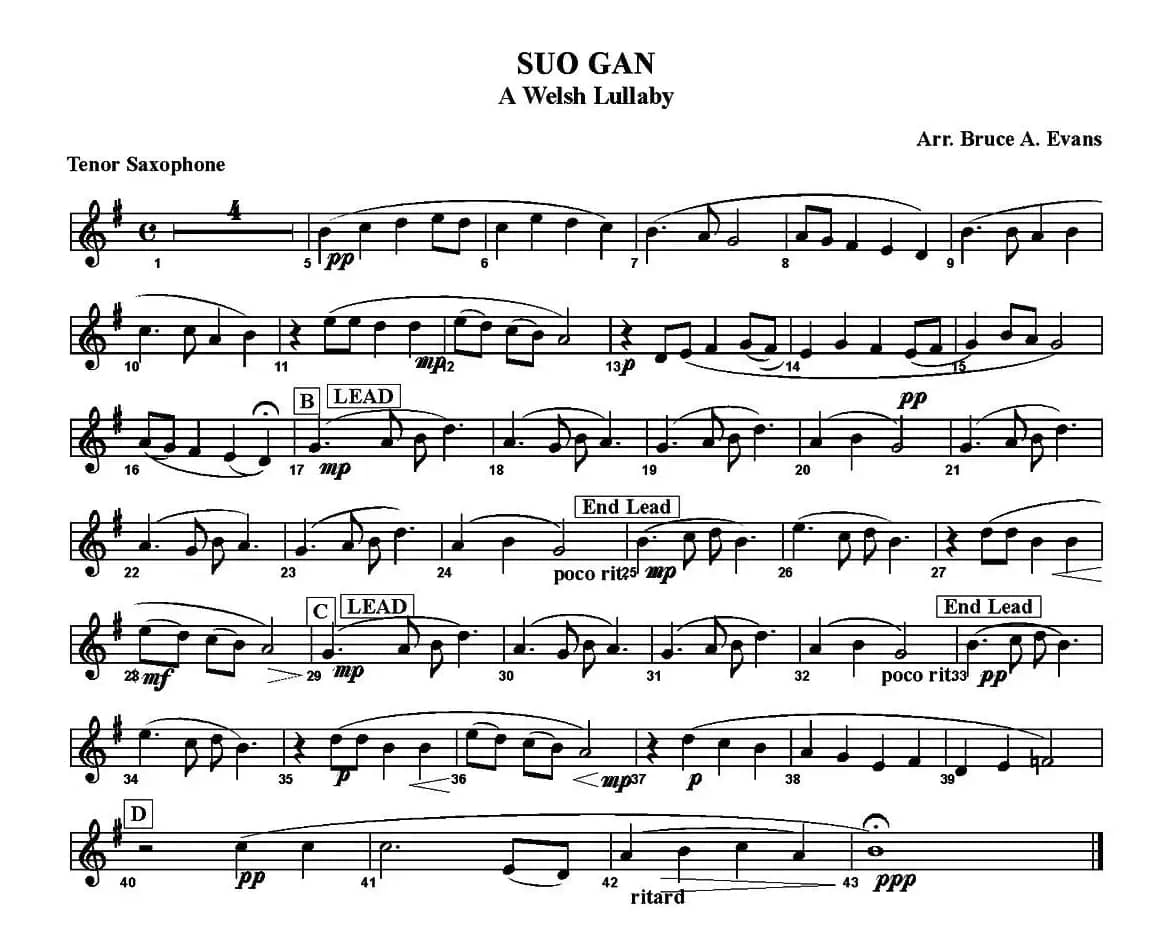 SUO GAN（五重奏）