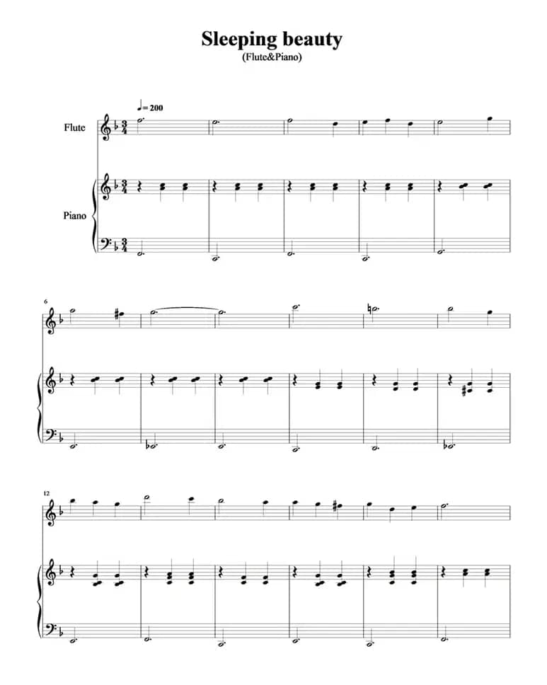 Sleeping beauty（睡美人）（长笛+钢琴）