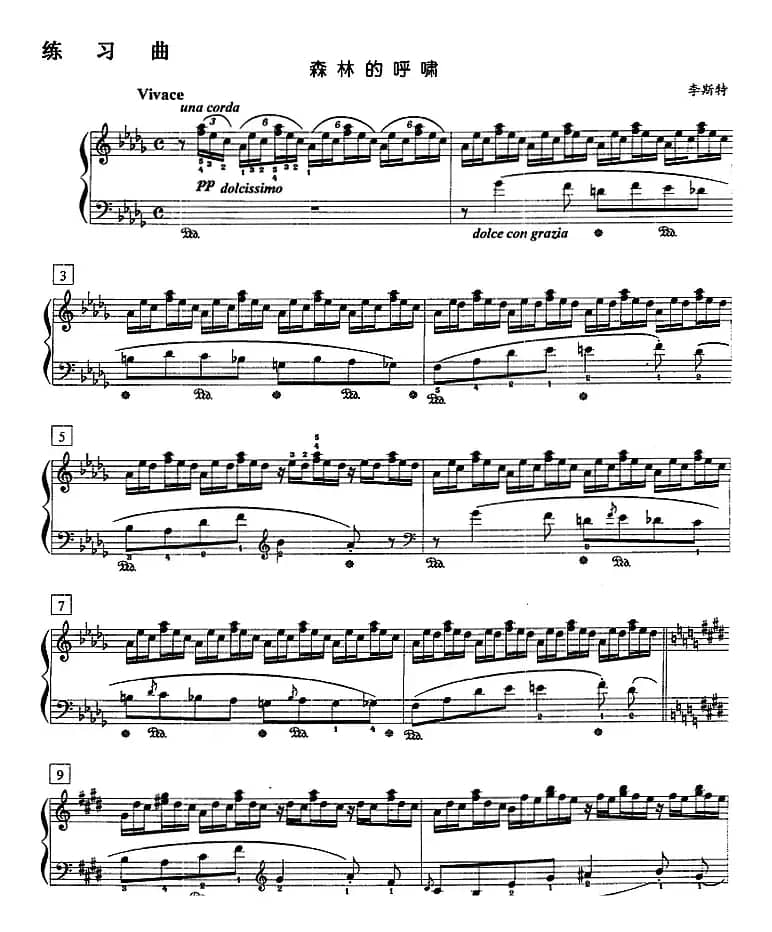 钢琴教程第八级 练习曲（森林的呼啸）