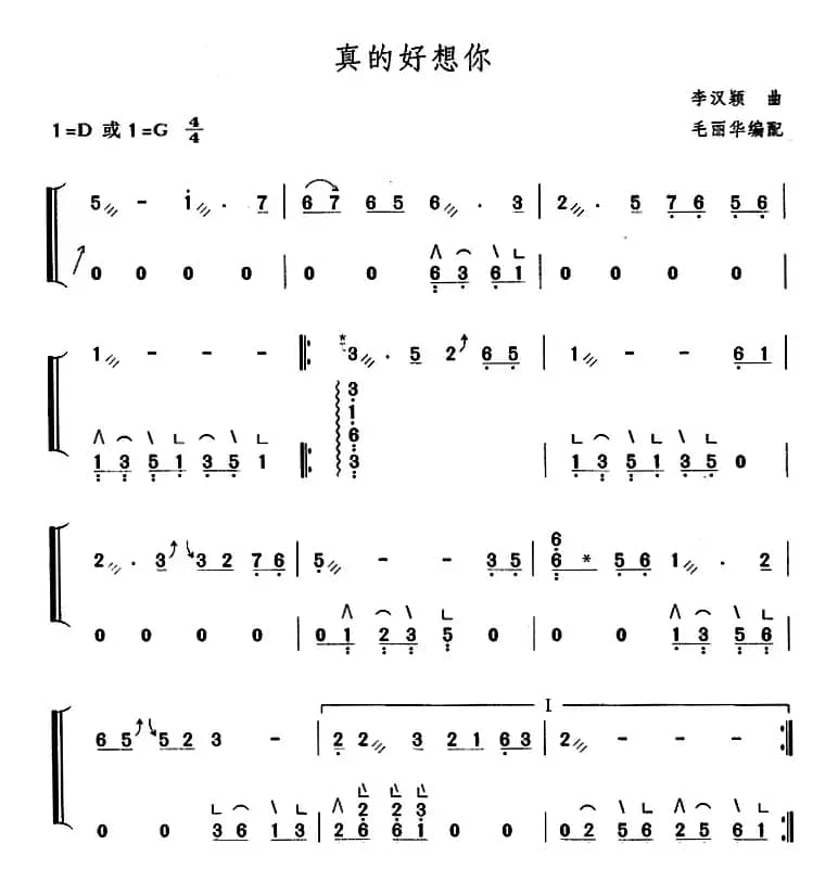 真的好想你（毛丽华编配版）