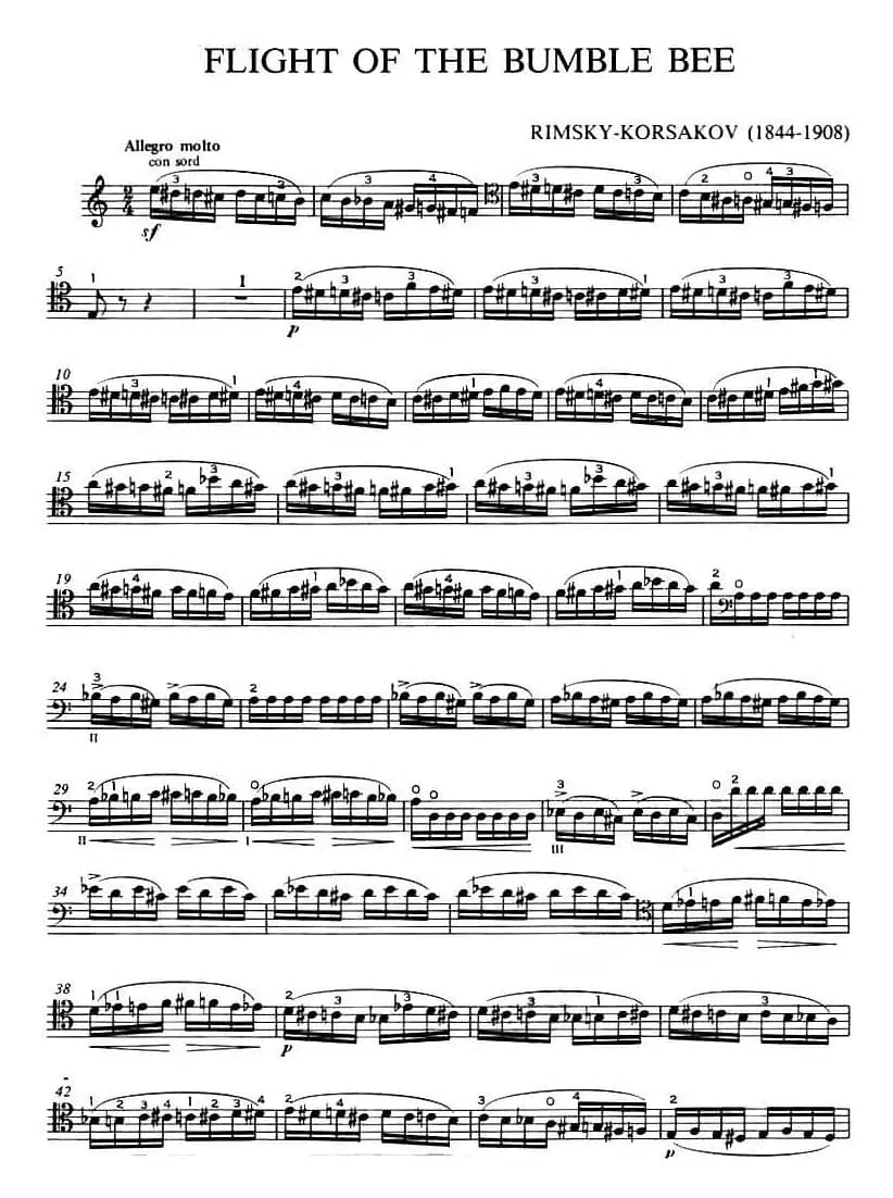 FLIGHT OF THE BUMBLE BEE 野蜂飞舞