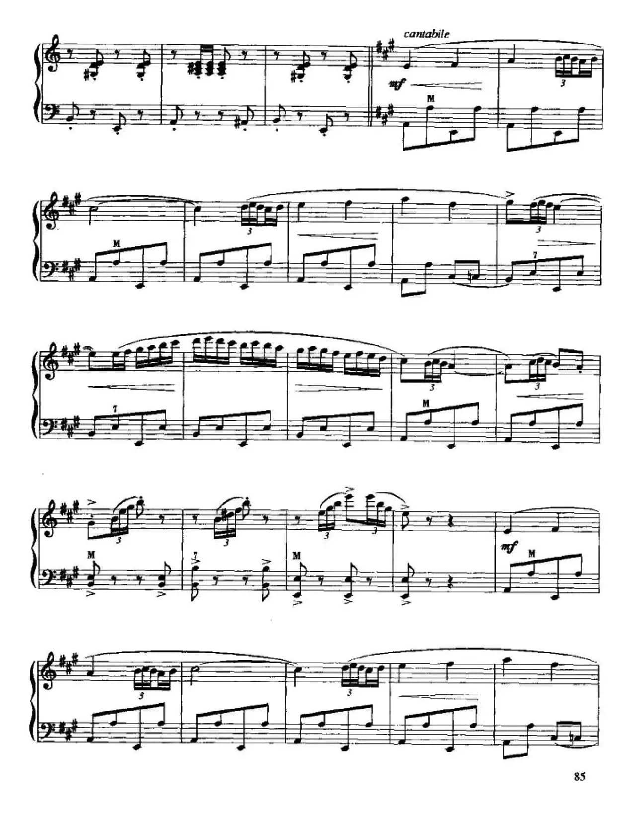 快乐的西班牙骑士