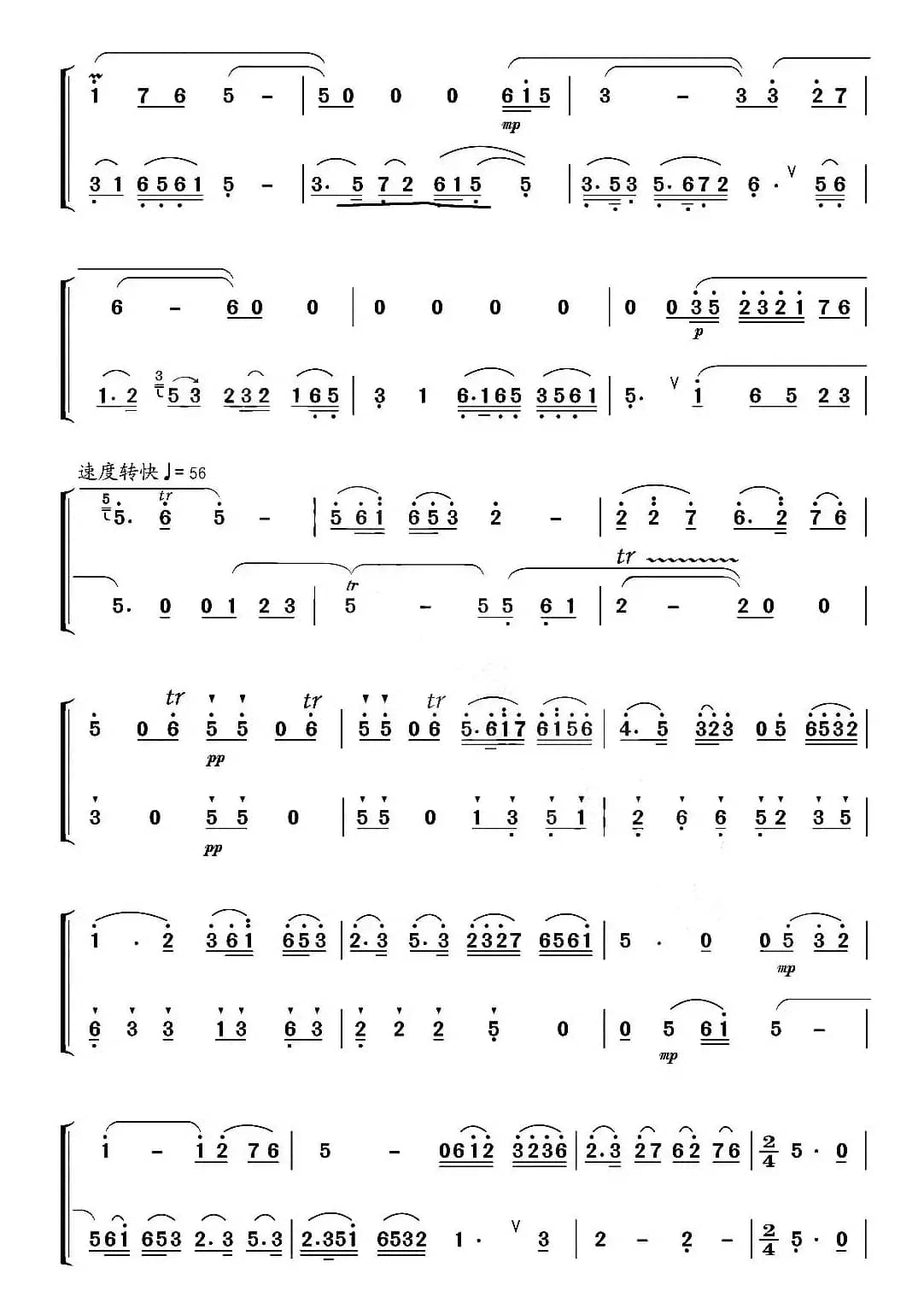 化蝶（竹笛二重奏）