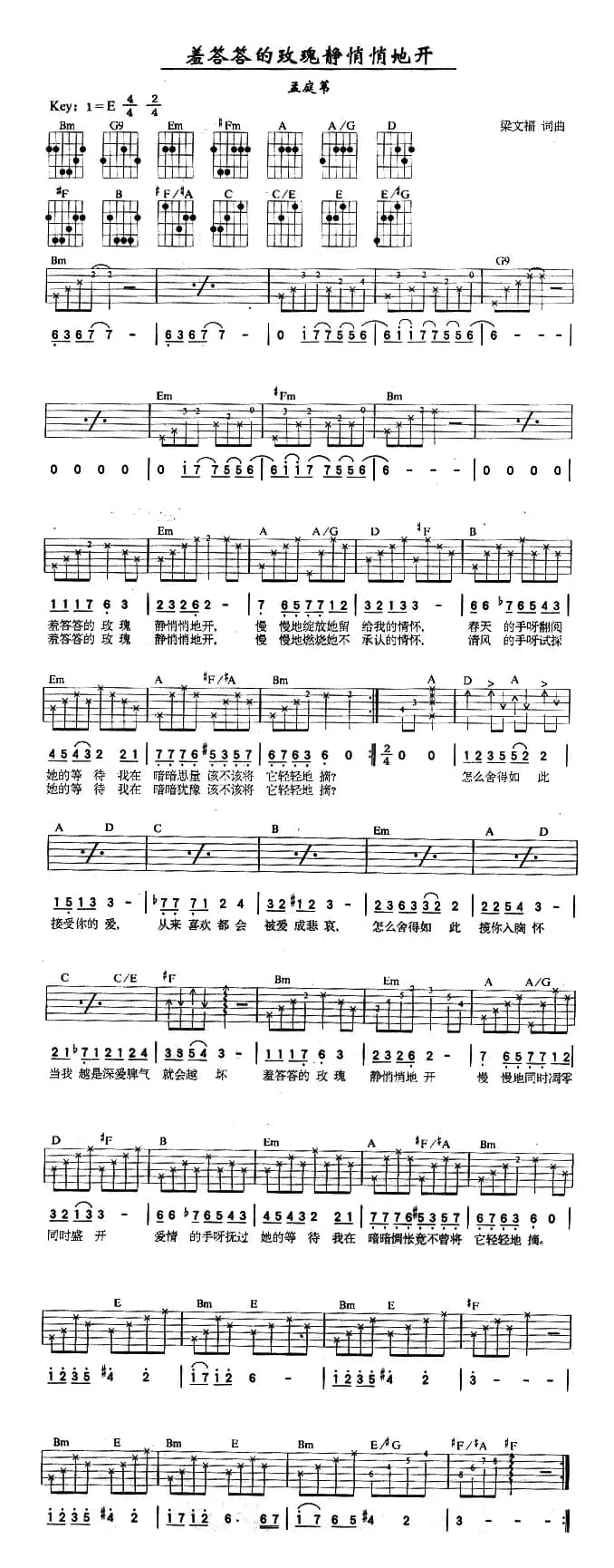 羞答答的玫瑰静悄悄地开