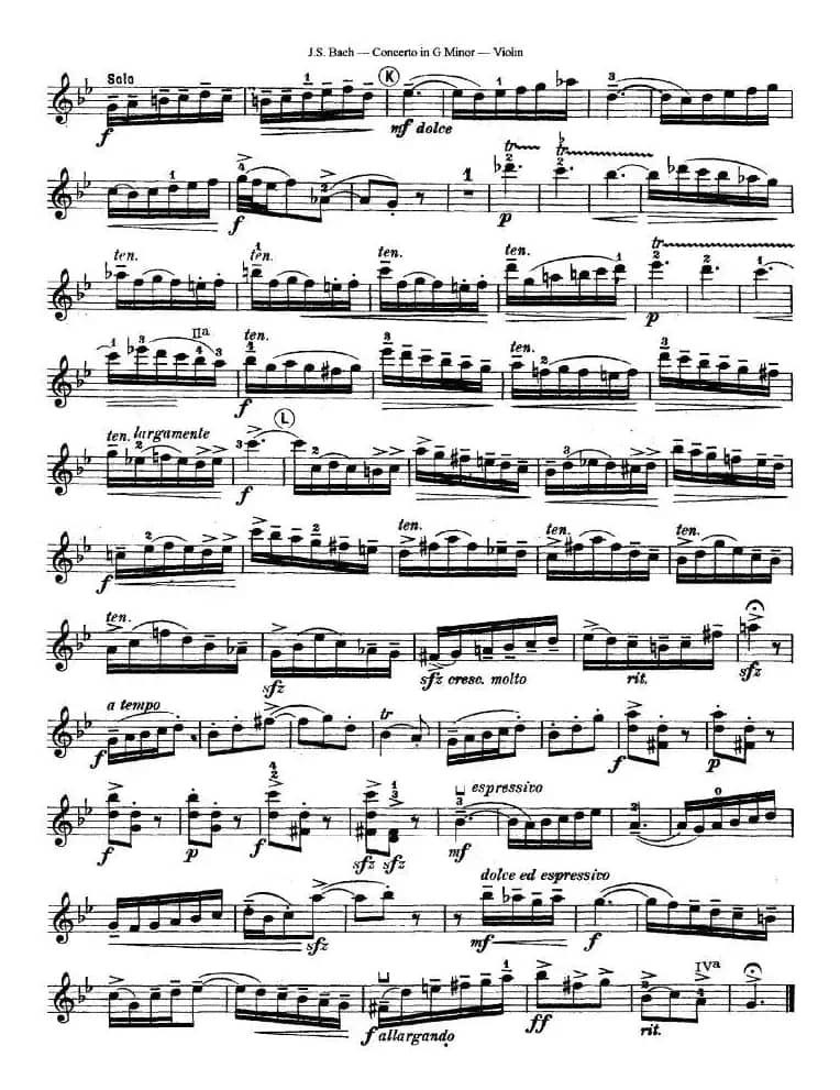 Concerto in G Minor（G小调协奏曲）