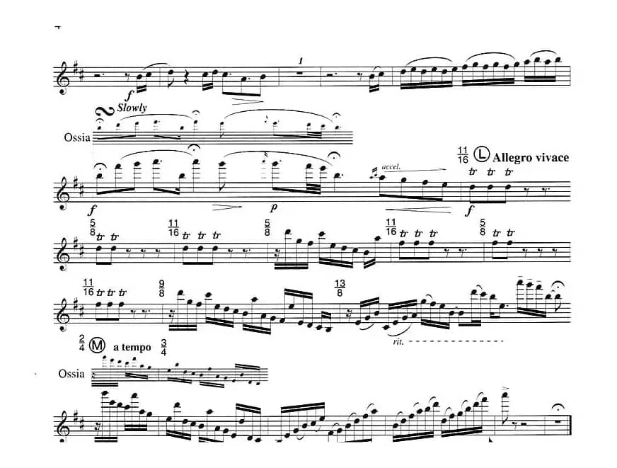 毛绒鸟奏鸣曲之一（须川展也的《Fuzzy Bird Sonata》）