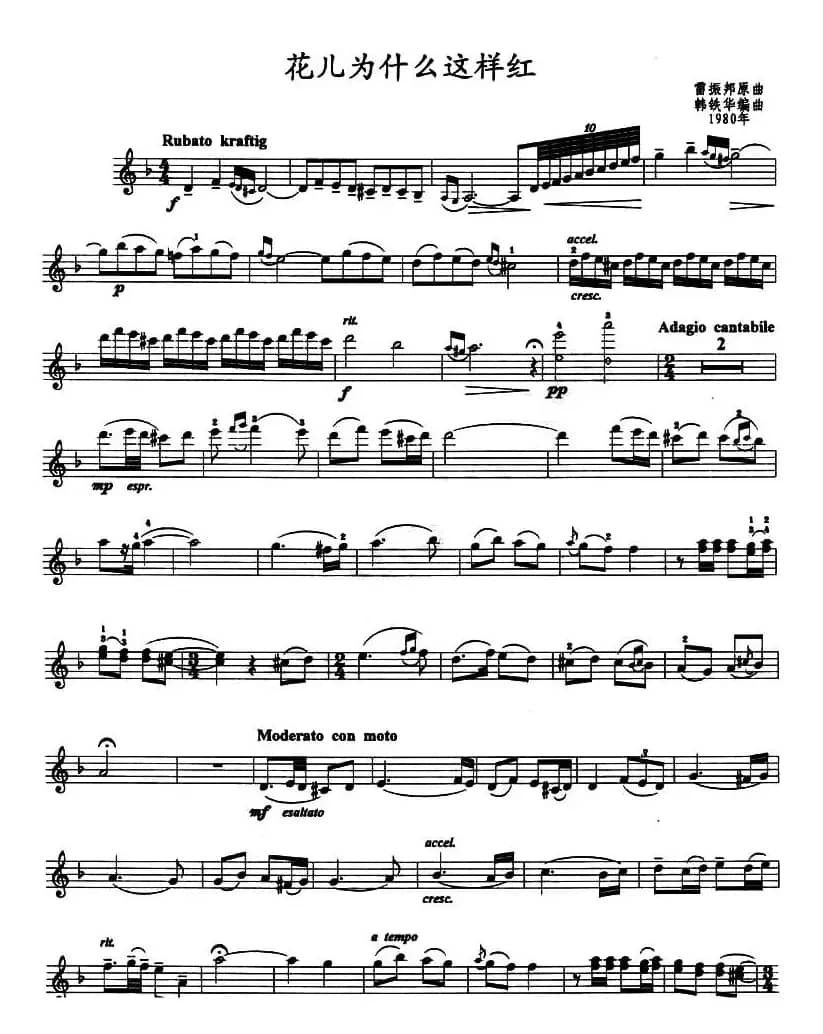 花儿为什么这样红