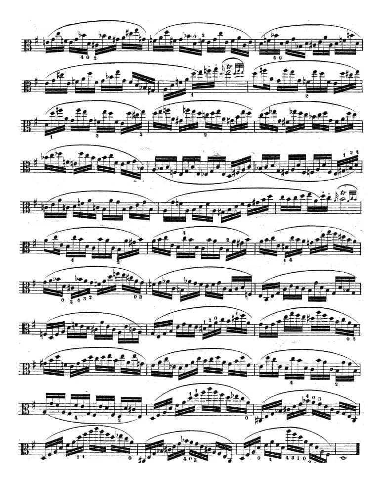 克莱采尔《中提琴练习曲40首》（ETUDE 24-26）