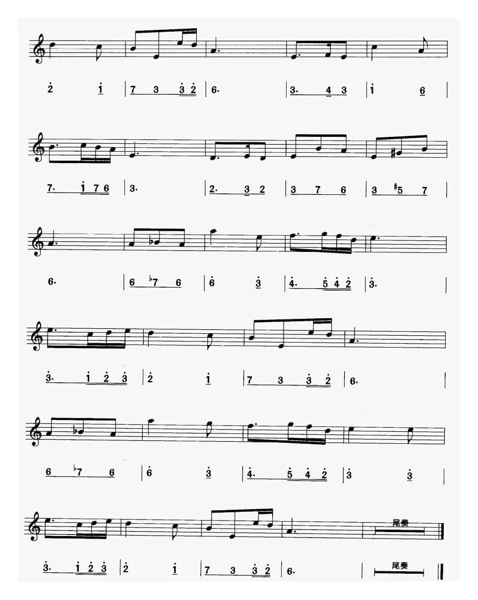 白桦林（线简谱对照版）