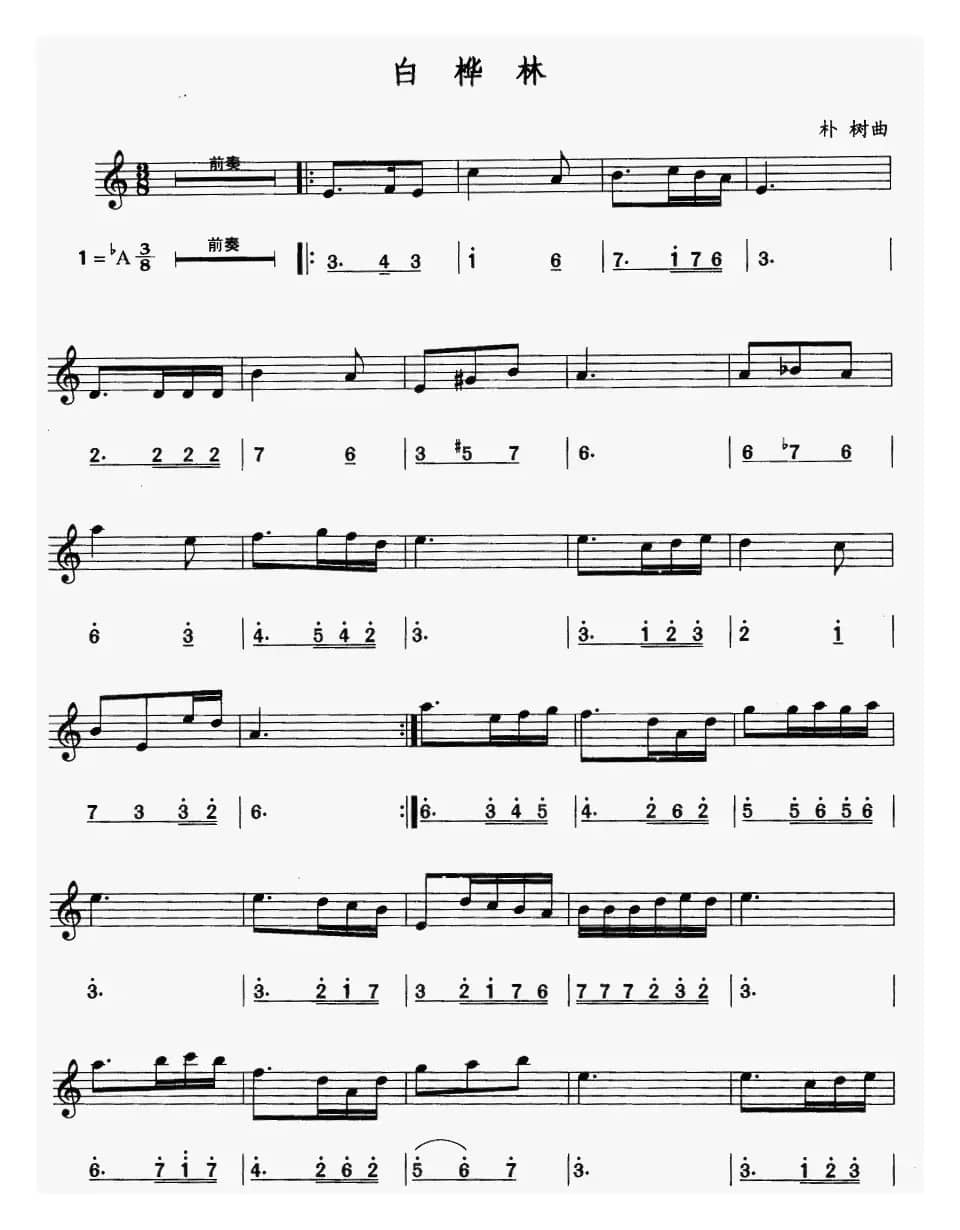 白桦林（线简谱对照版）