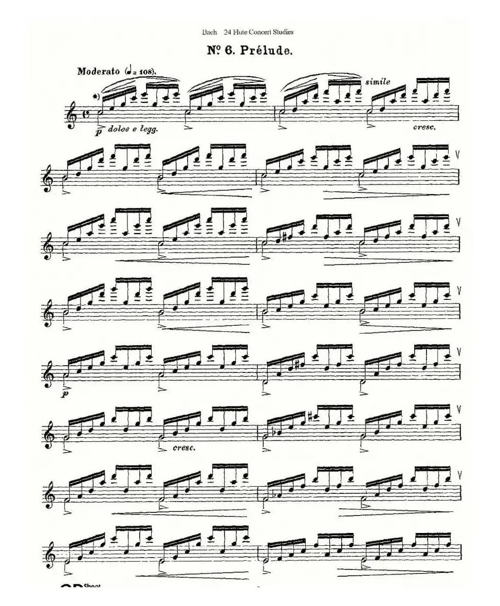 Bach-24 Flutc Concert Studies 之6—10（巴赫—24首长笛音乐会练习曲）