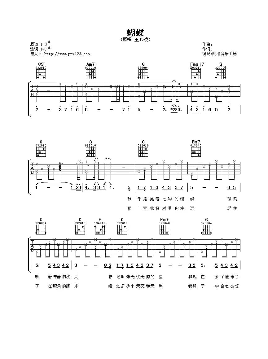 蝴蝶（阿潘音乐工场编配版）