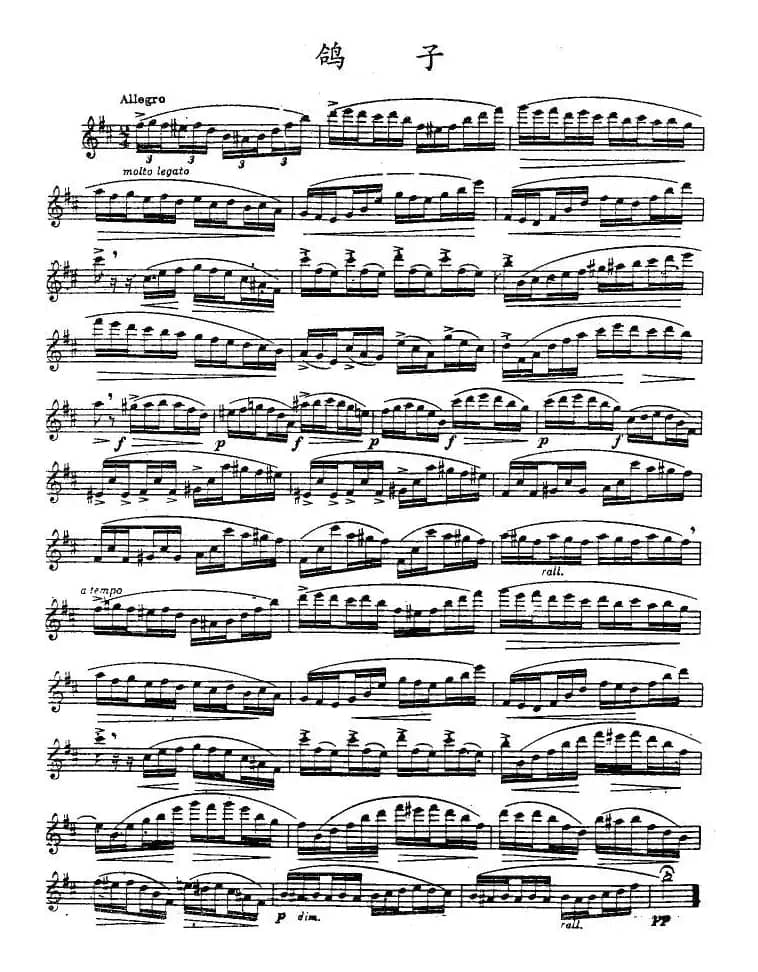 鸽子（版本一）