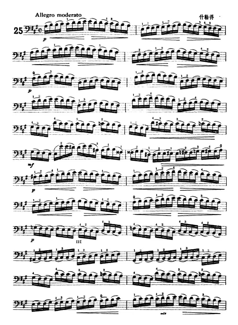 鲍斯特列姆大提琴练习曲（24-27）