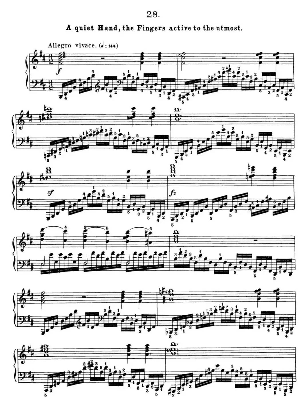 50首车尔尼Op.740钢琴手指灵巧技术练习曲（NO.28）