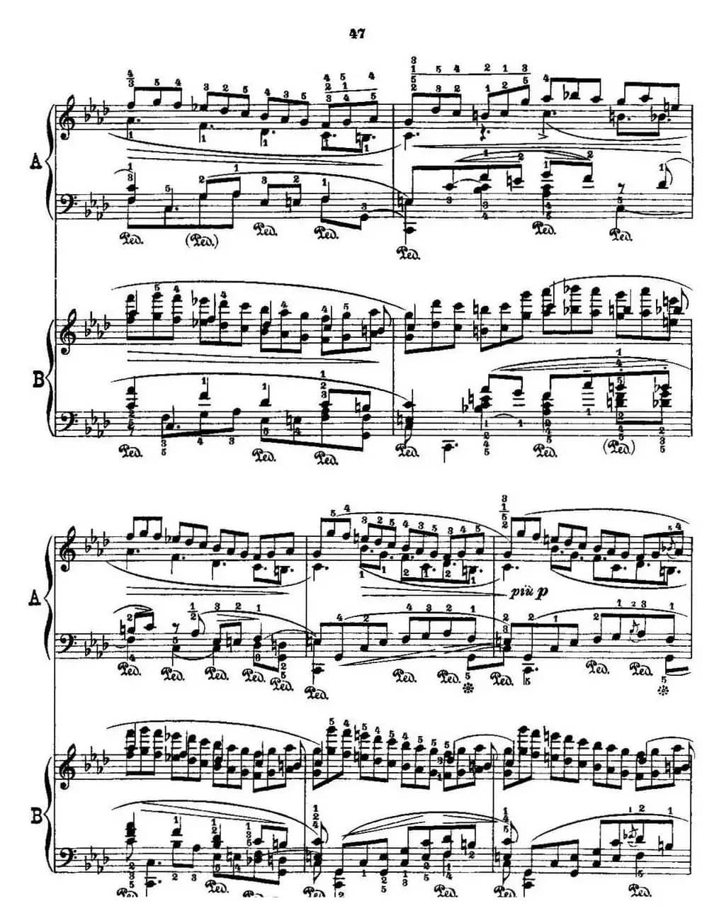 53首改编练习曲（No.28）