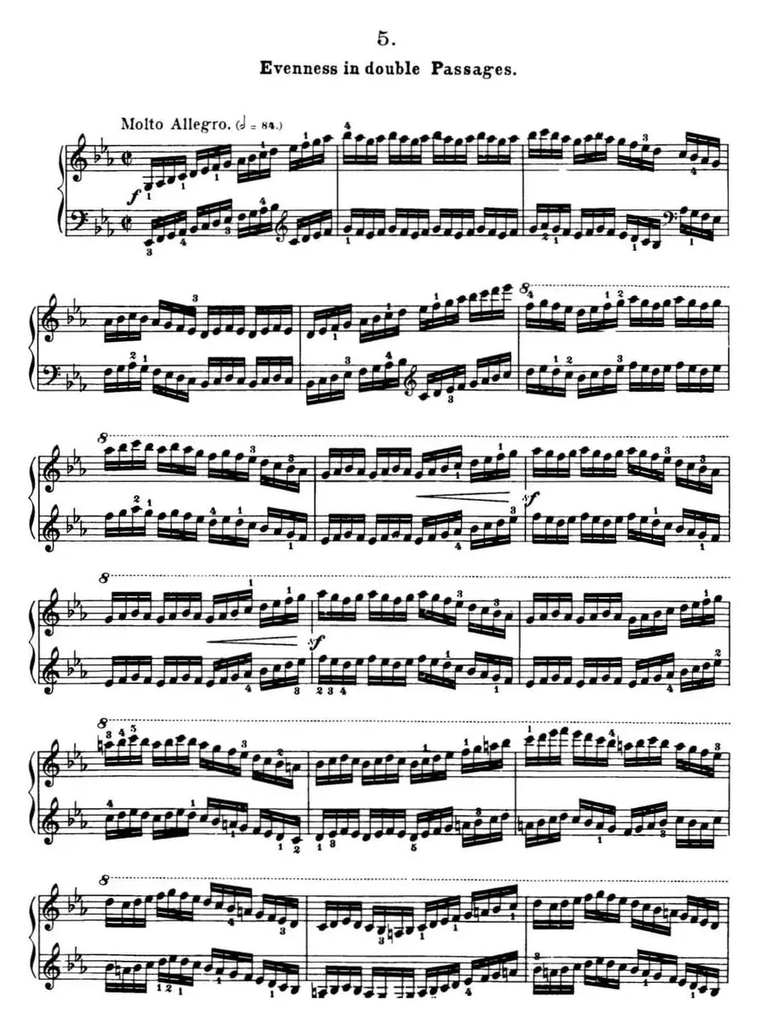 50首车尔尼Op.740钢琴手指灵巧技术练习曲（NO.5）