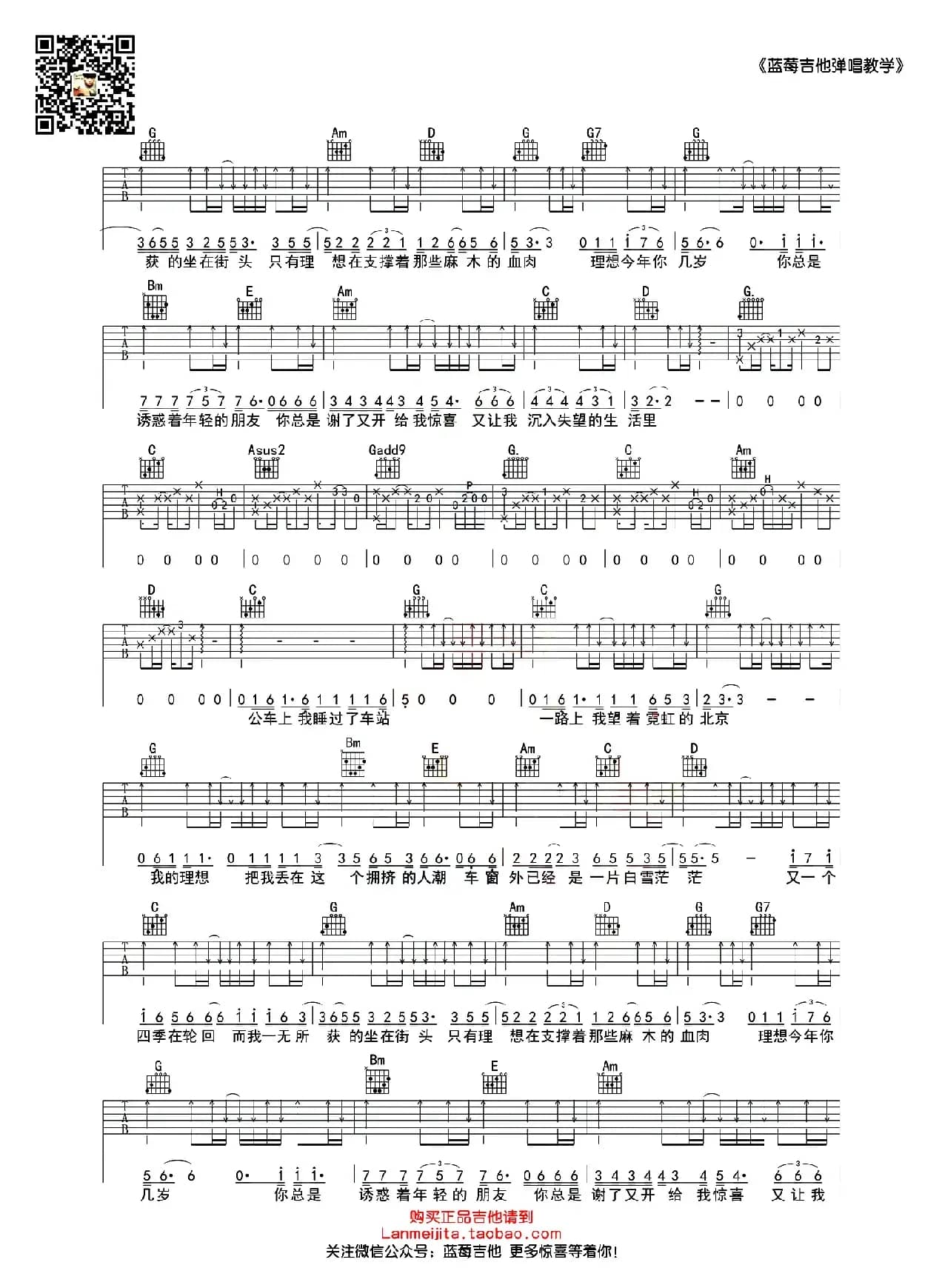 理想（赵磊词曲、蓝莓吉他版）