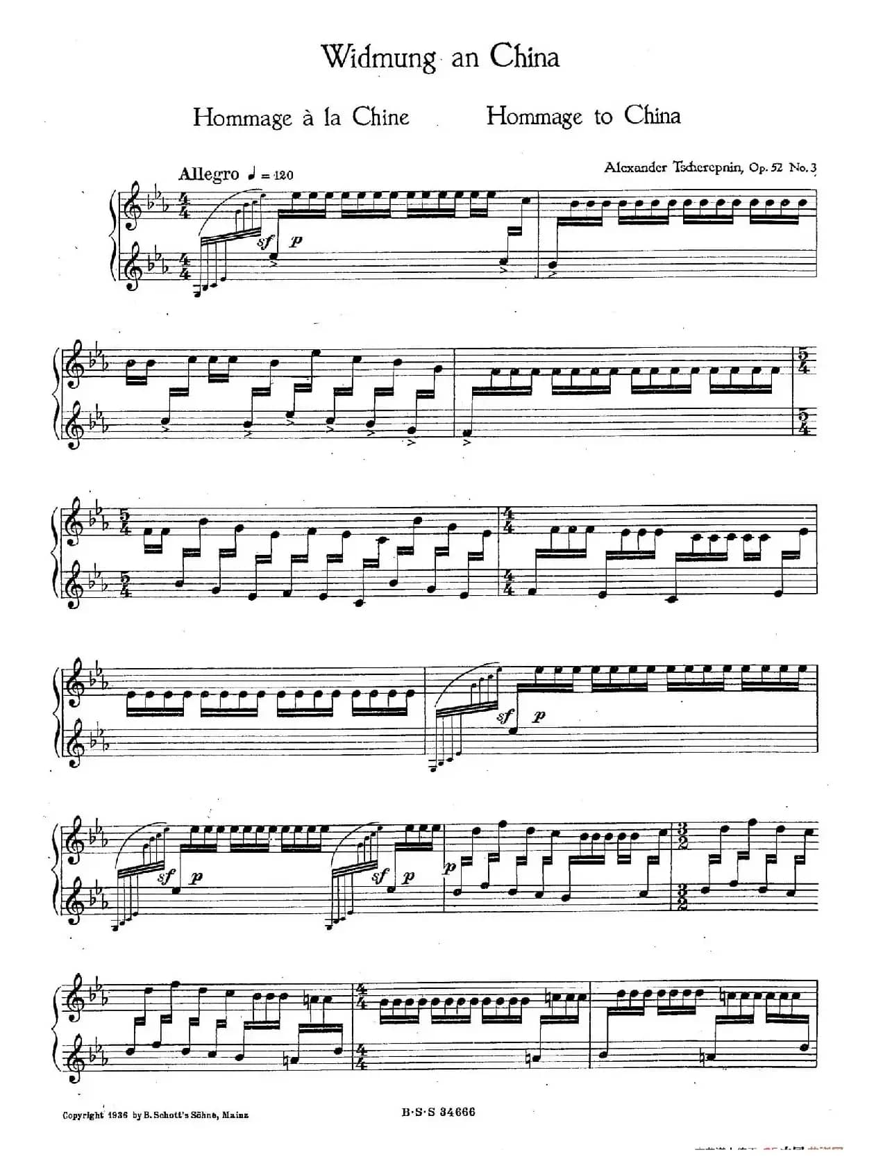 Five Concert Etudes 