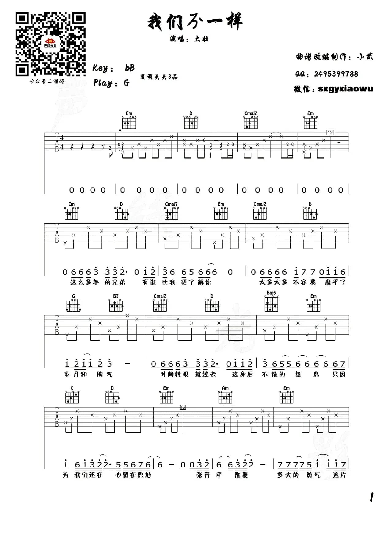 我们不一样（小武改编制谱版）