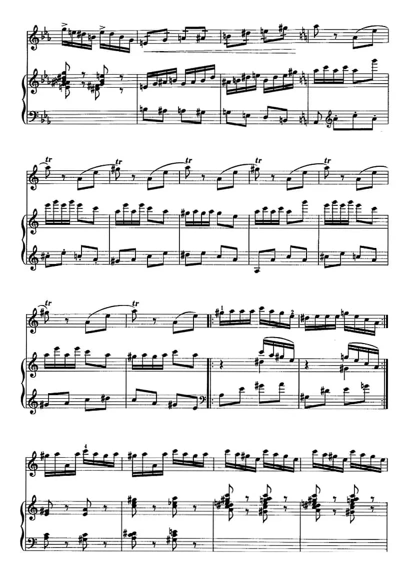 第二二胡狂想曲（二胡+钢琴伴奏）