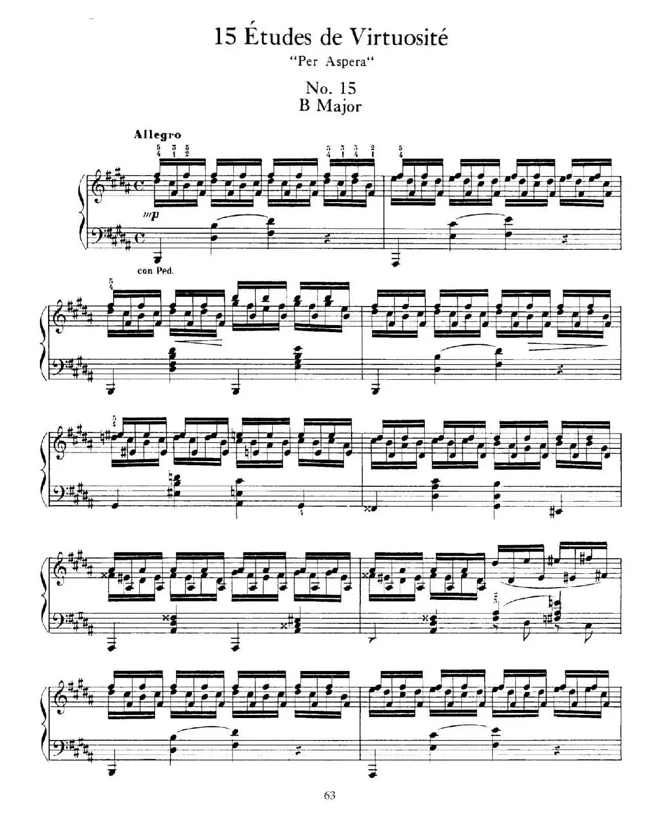 15 Etudes de Vortuosite Op.72(15首辉煌练习曲·15)
