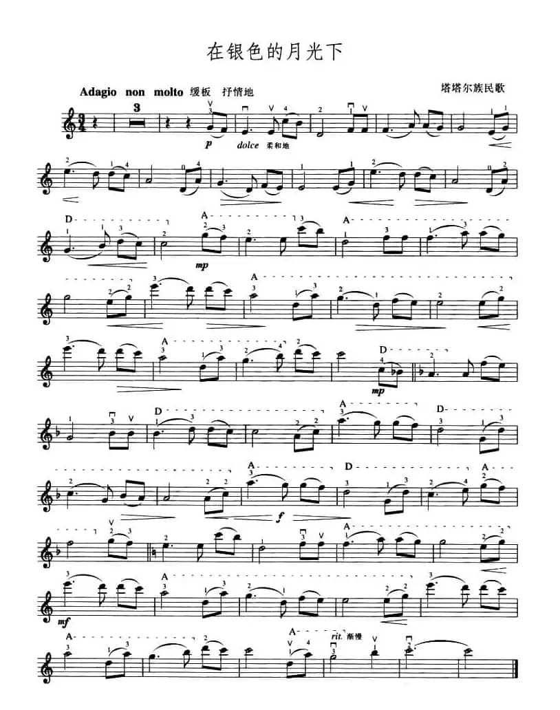 在银色的月光下