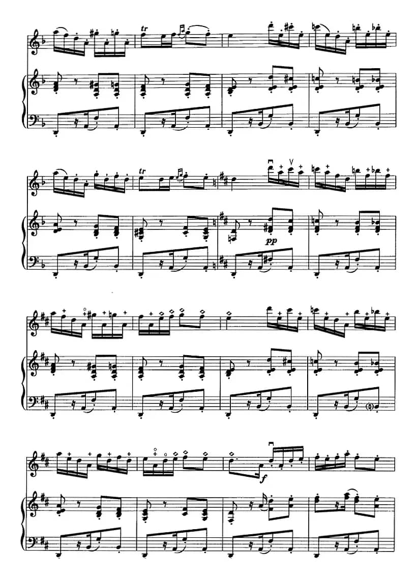 卡门主题幻想曲（二胡+钢琴伴奏）