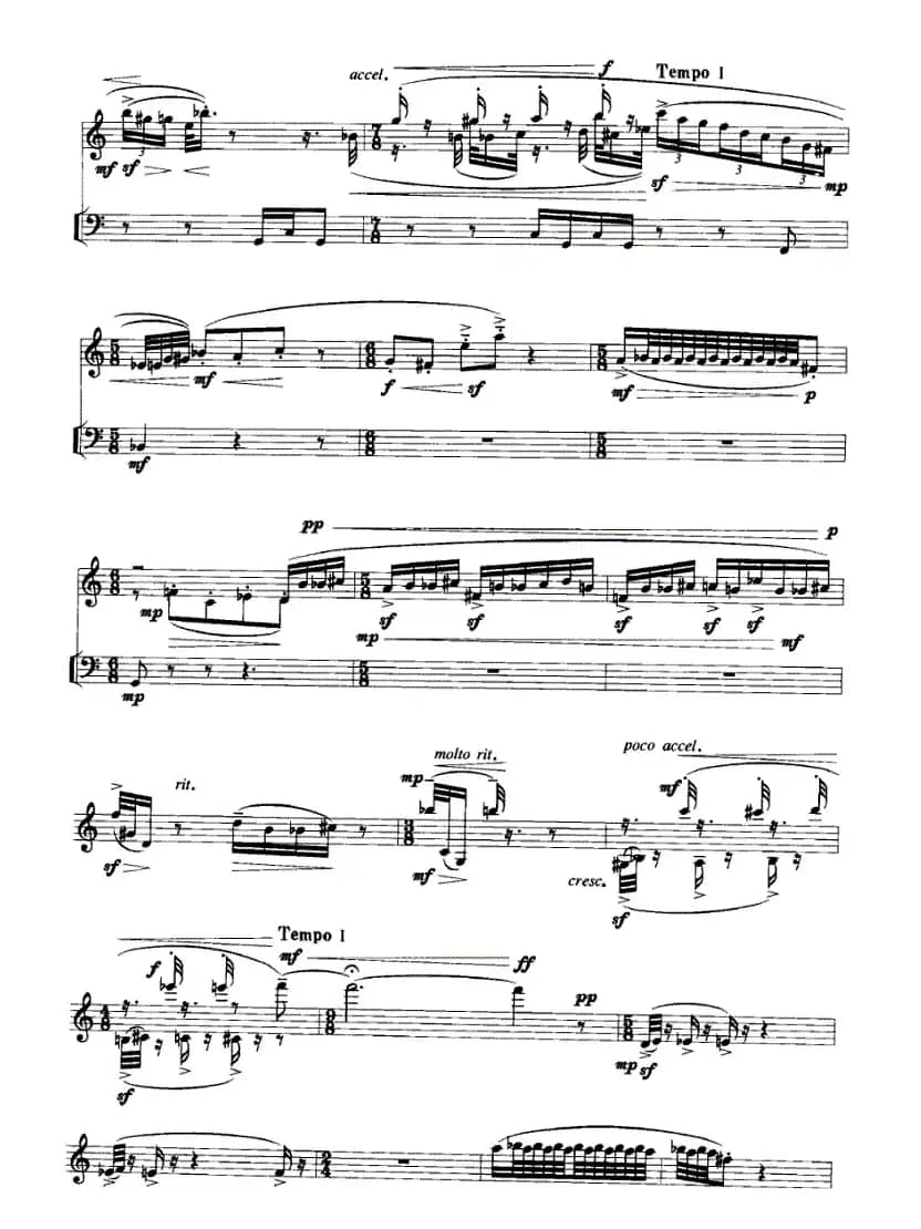 宠物日记（单簧管+定音鼓）