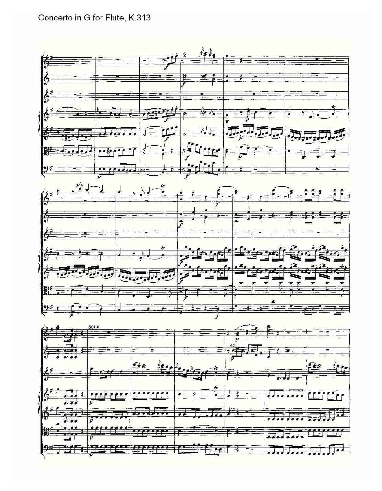 Concerto in G for Flute, K.313（G调长笛协奏曲, K.313）