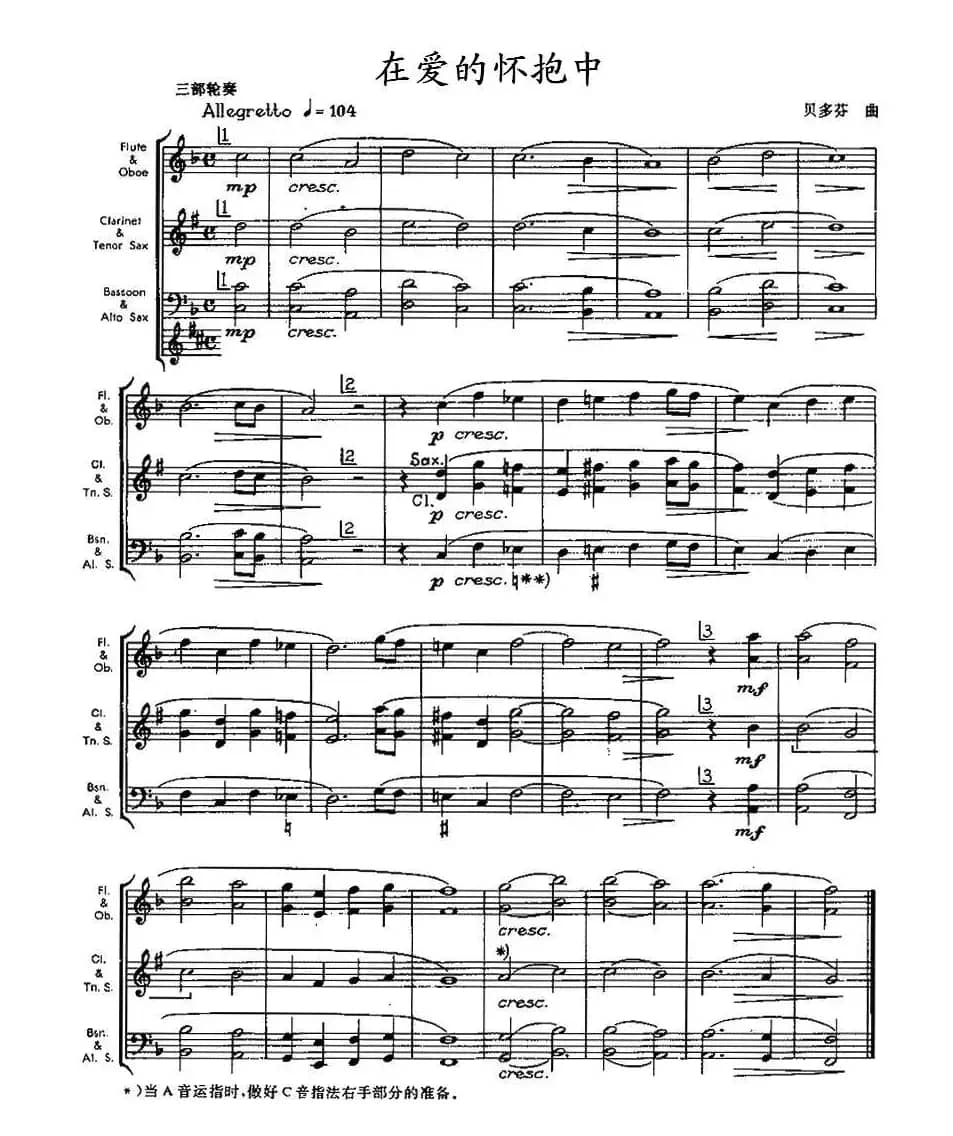 在爱的怀抱中（木管乐器三部轮奏）