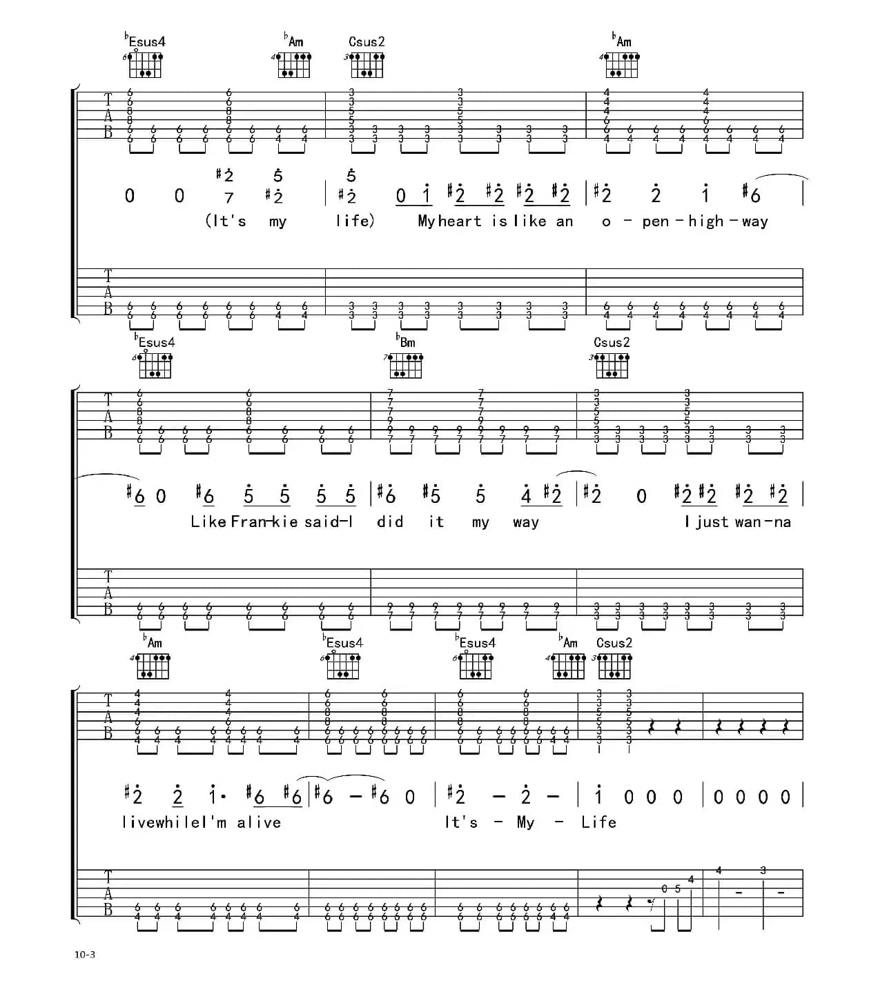 It's my life（电吉他 双吉他版）