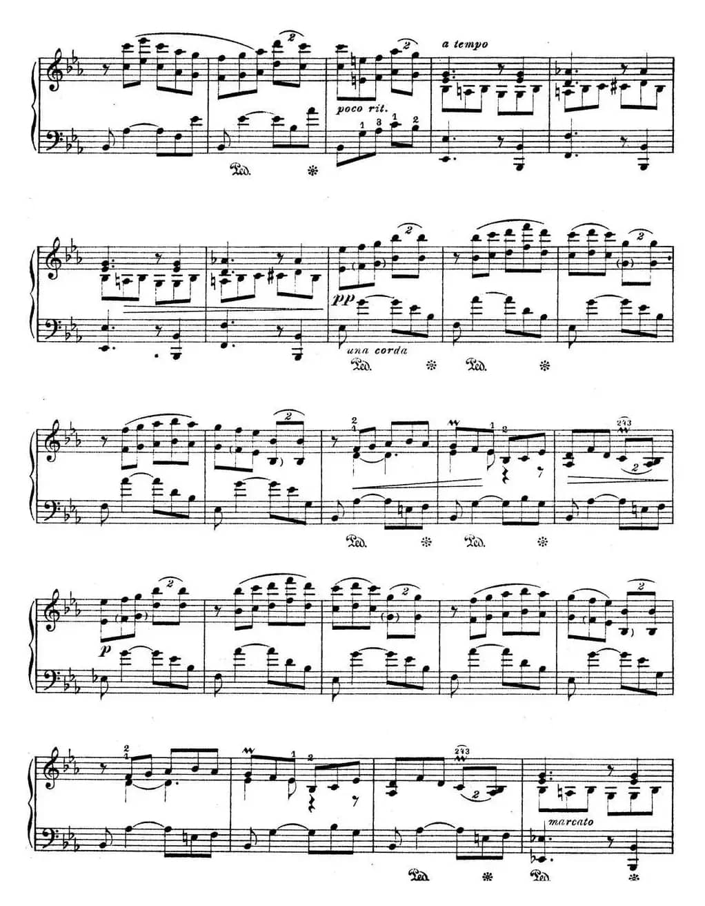 Suite Espanola Op.47（西班牙组曲·Ⅷ）
