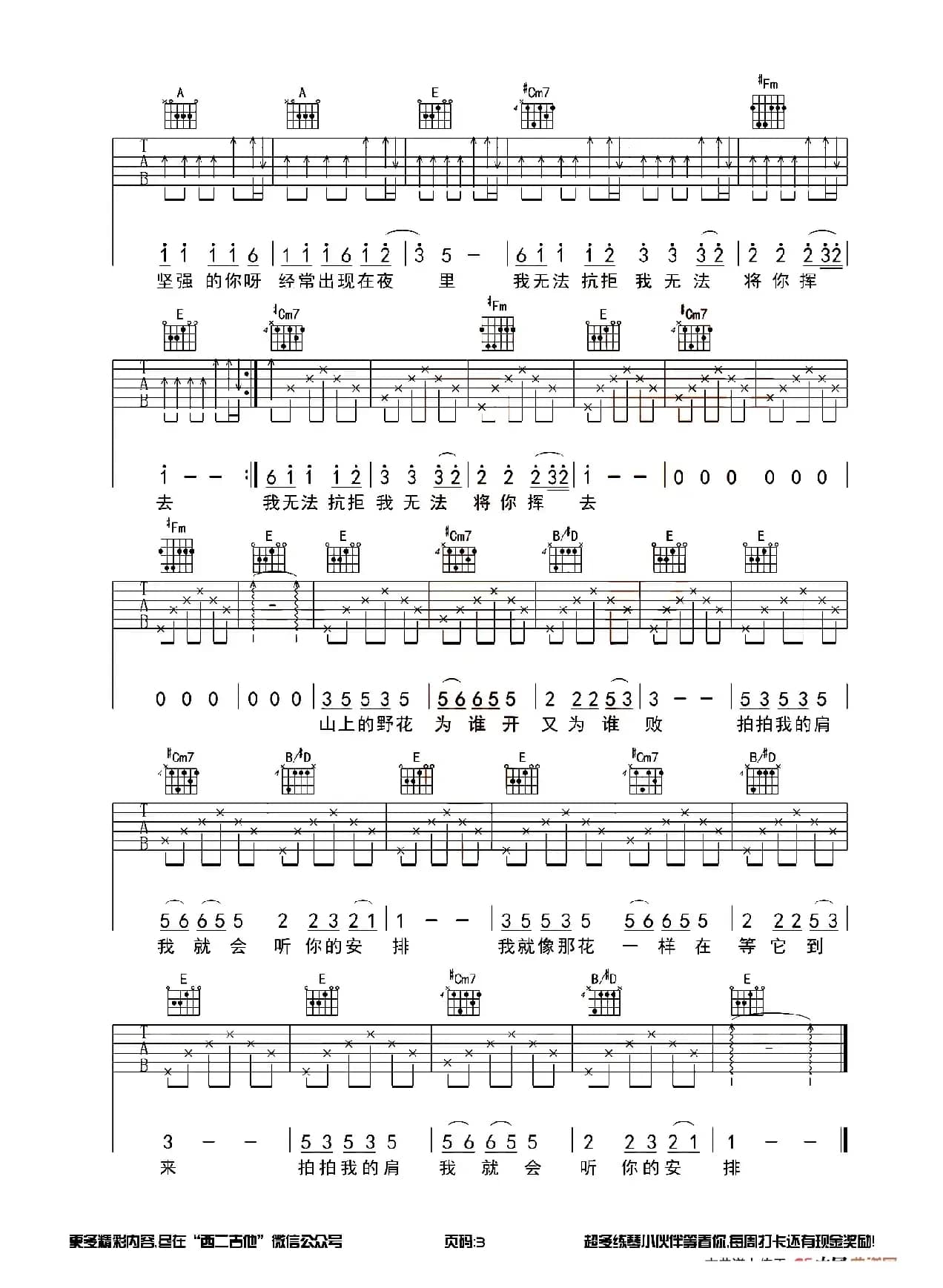 野花（西二吉他编配版）