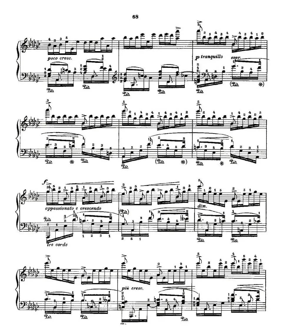 肖邦《练习曲》Fr.Chopin Op.10 No5-6