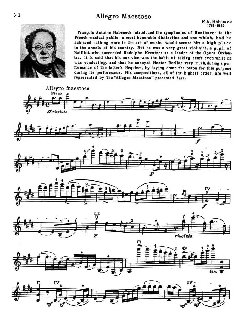 ALLEGRO MAESTOSO（庄严的快板）