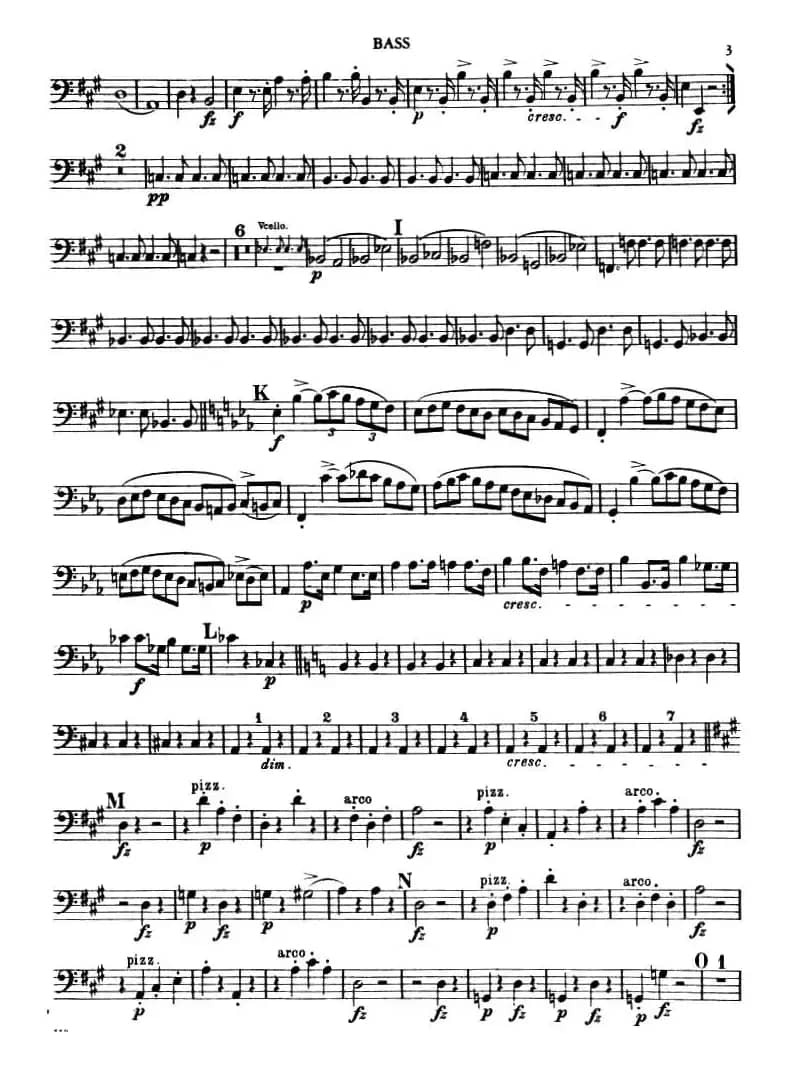 TROUT QUINTET（鳟鱼五重奏）（BASS分谱）