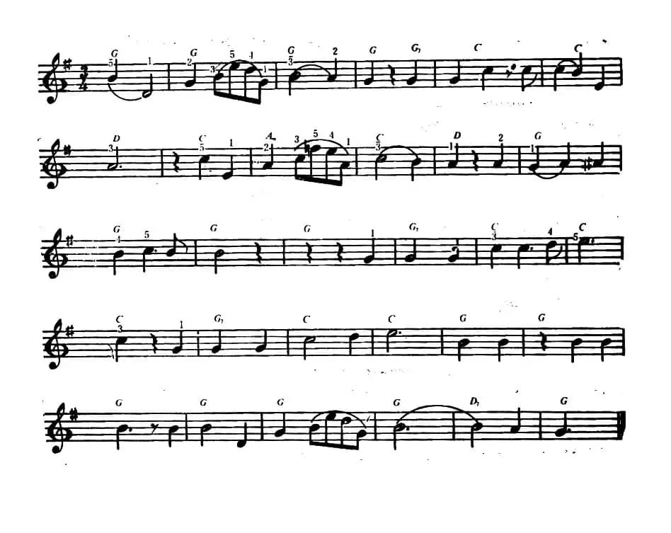 你好象一朵鲜花