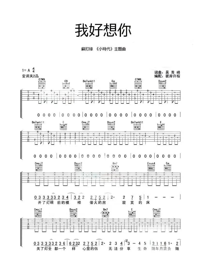 我好想你（《小时代》主题曲）（彼岸徐榕编配版）