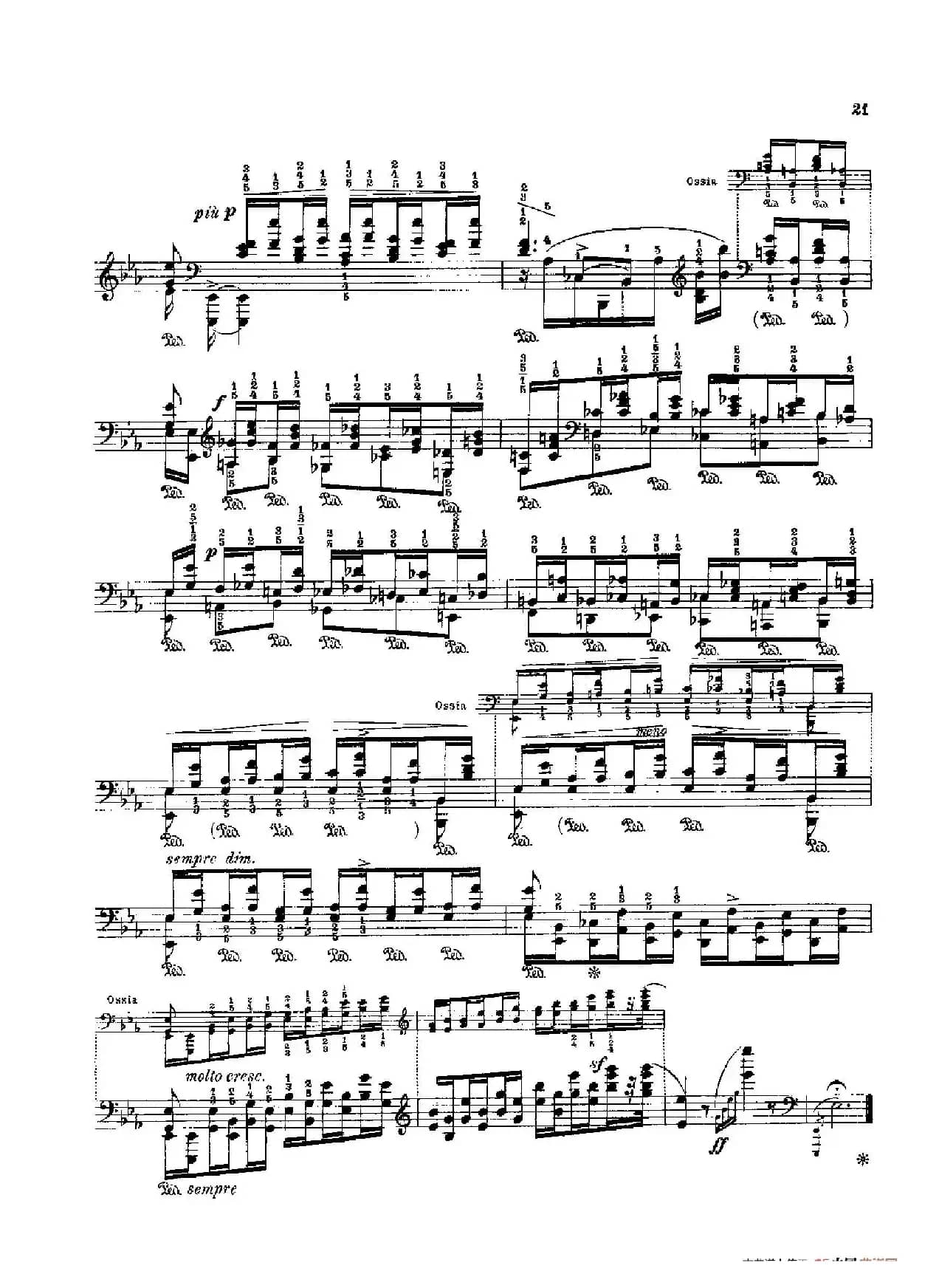 53首以肖邦练习曲为素材而作的练习曲（No.15A）