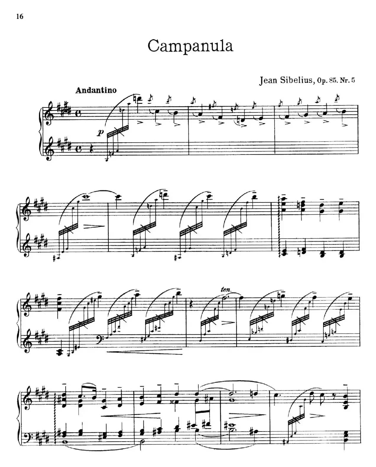 The Flowers（花之组曲）（Op.85.Nr.5-风铃草）